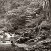 Bachlauf mit Wassrfall